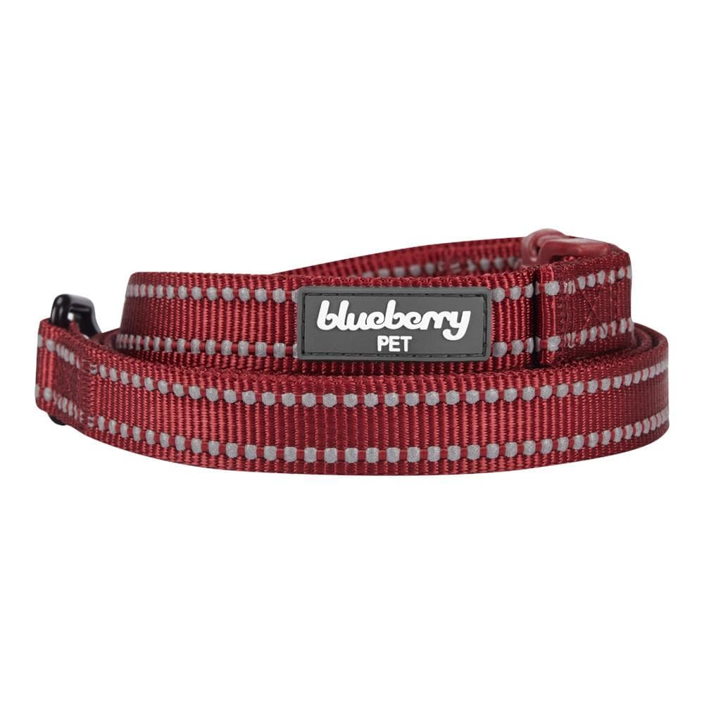 3M Reflective Dog Leash