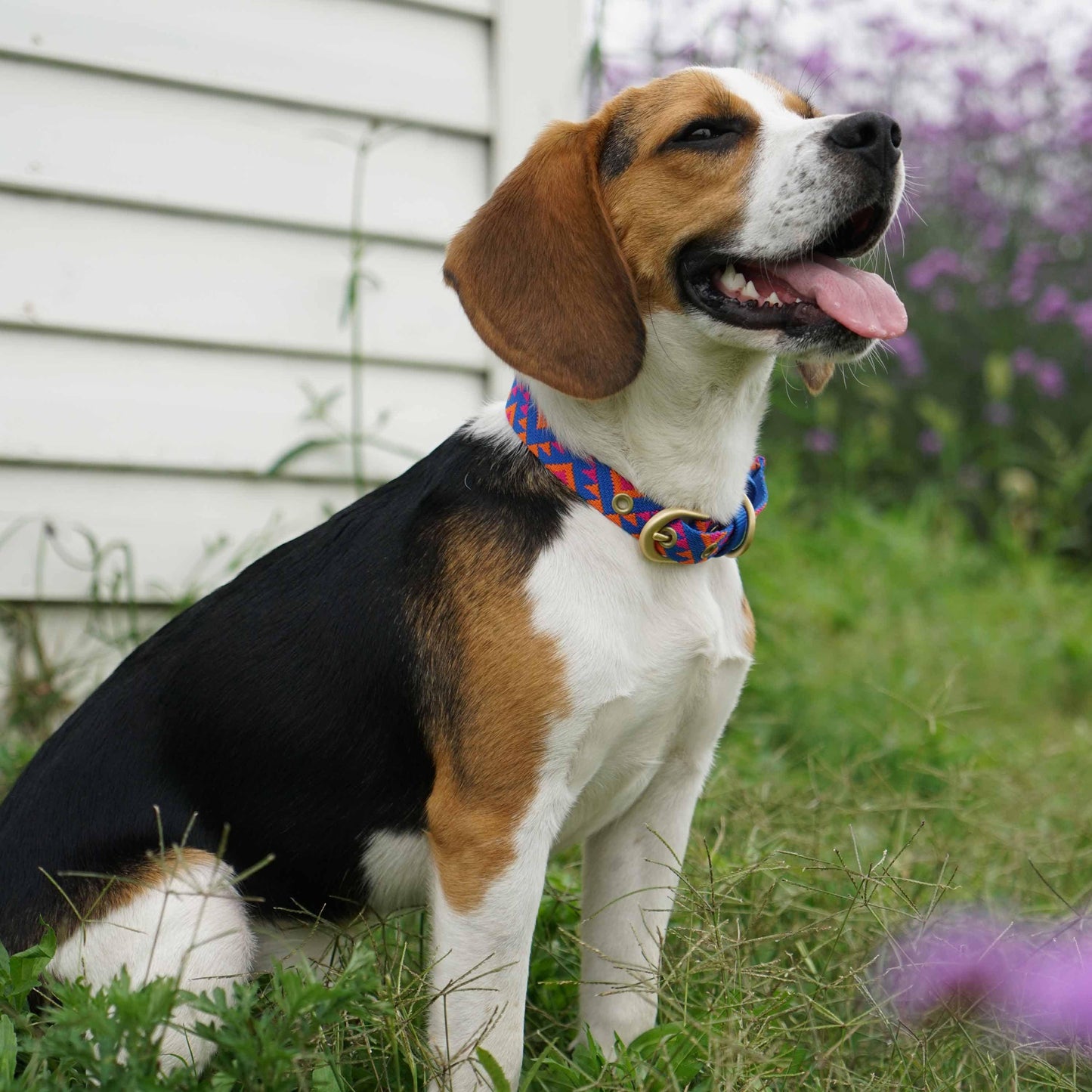 Southwestern Tribal Dog Collar