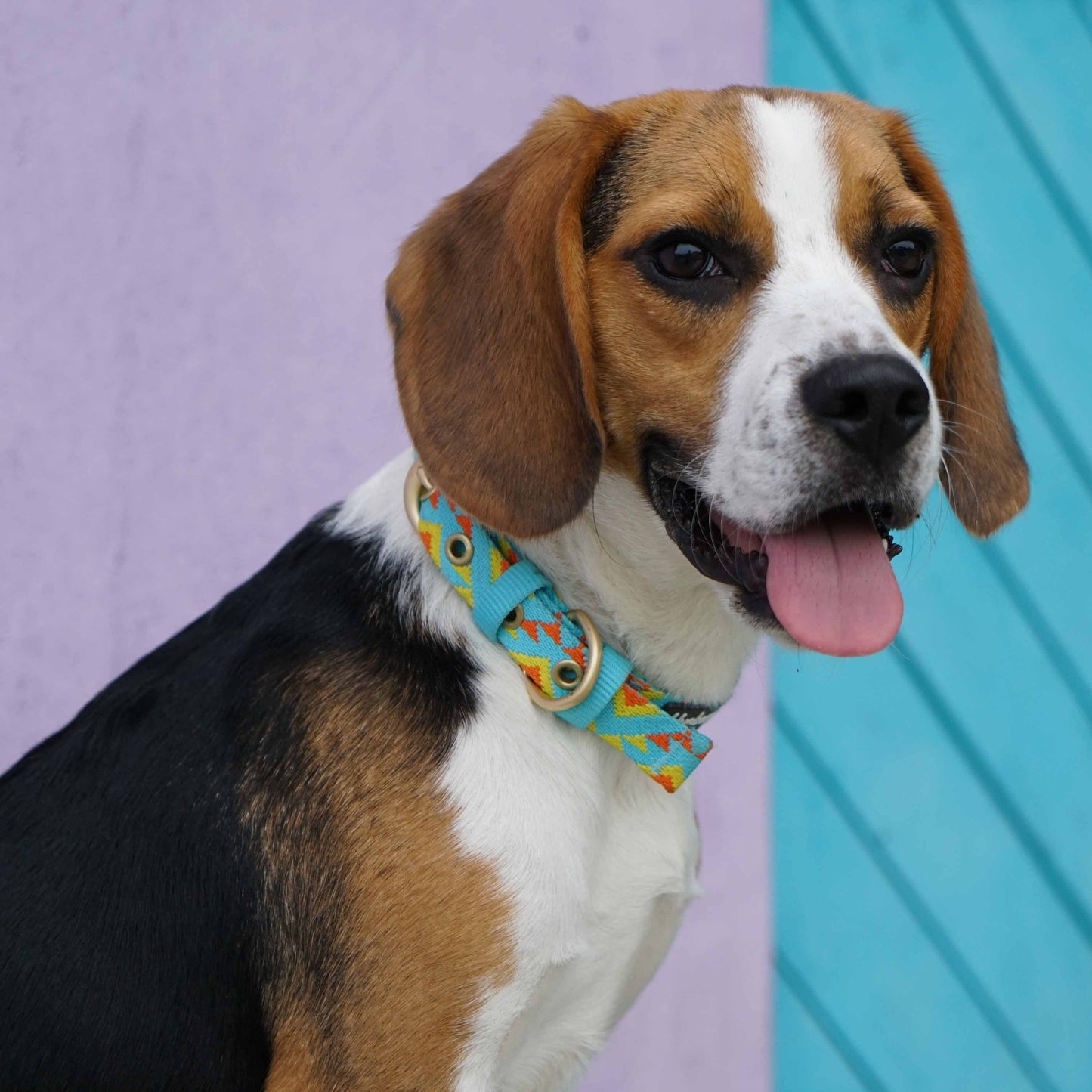 Southwestern Tribal Dog Collar