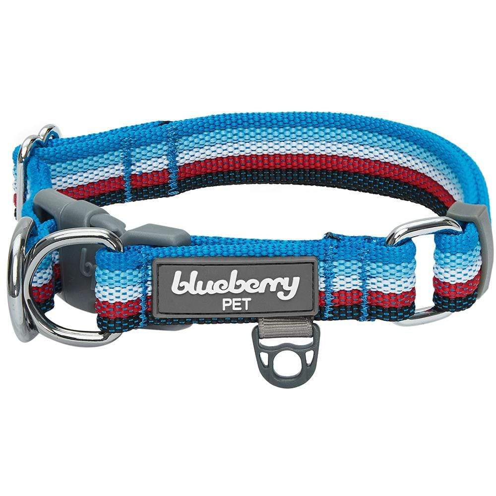 Multi-colored Stripe Dog Collar