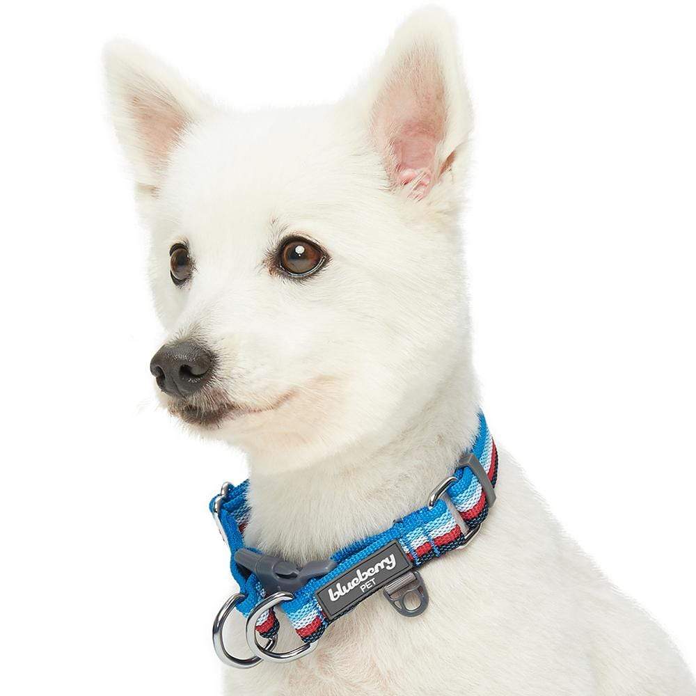 Multi-colored Stripe Dog Collar