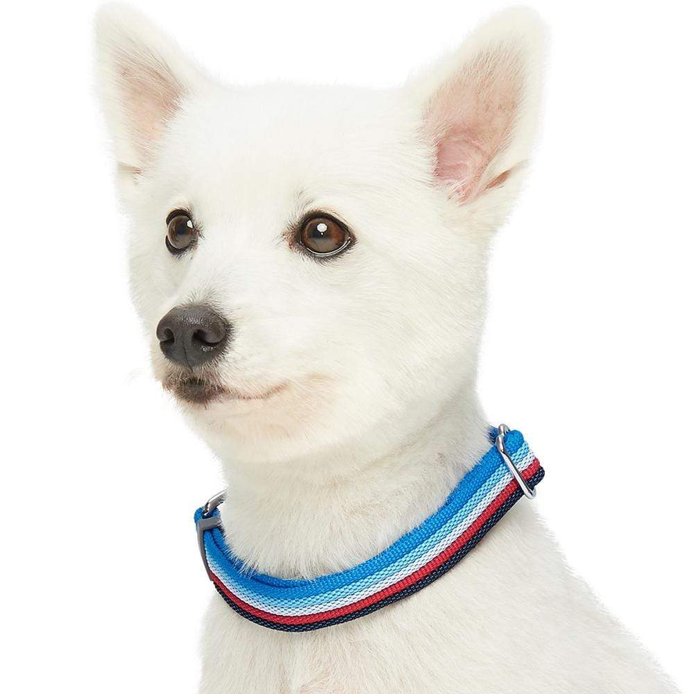 Multi-colored Stripe Dog Collar