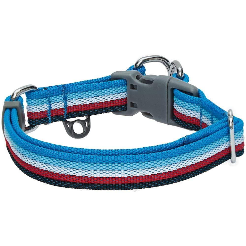 Multi-colored Stripe Dog Collar