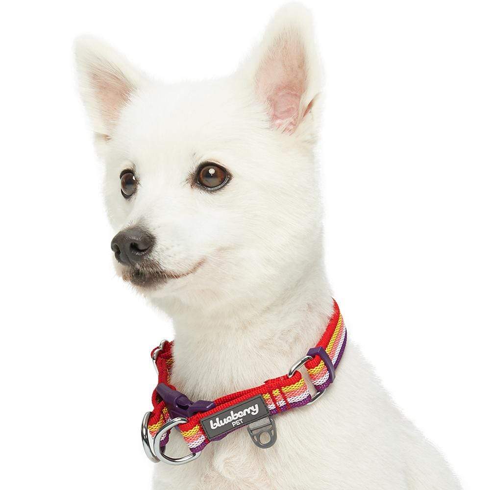 Multi-colored Stripe Dog Collar