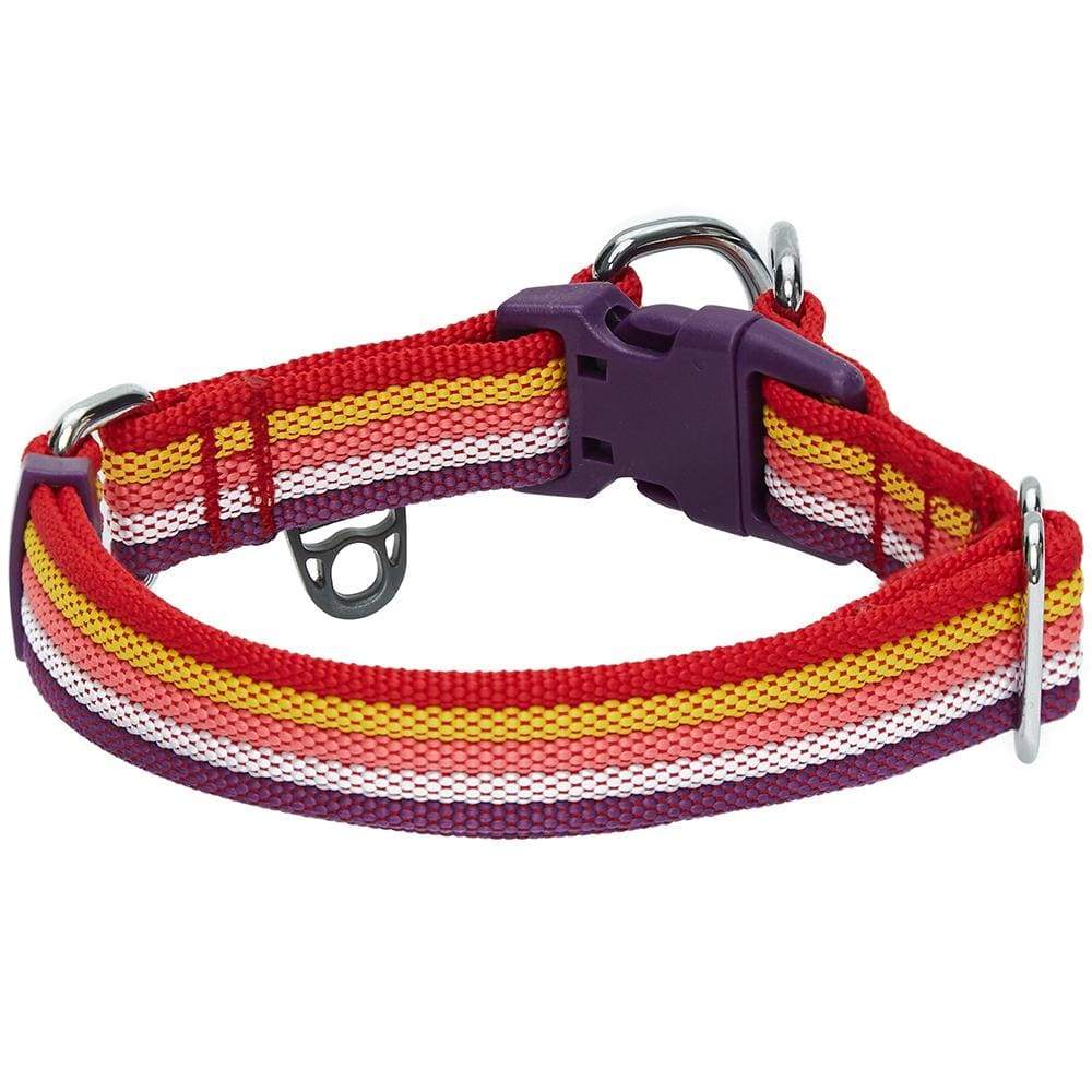 Multi-colored Stripe Dog Collar