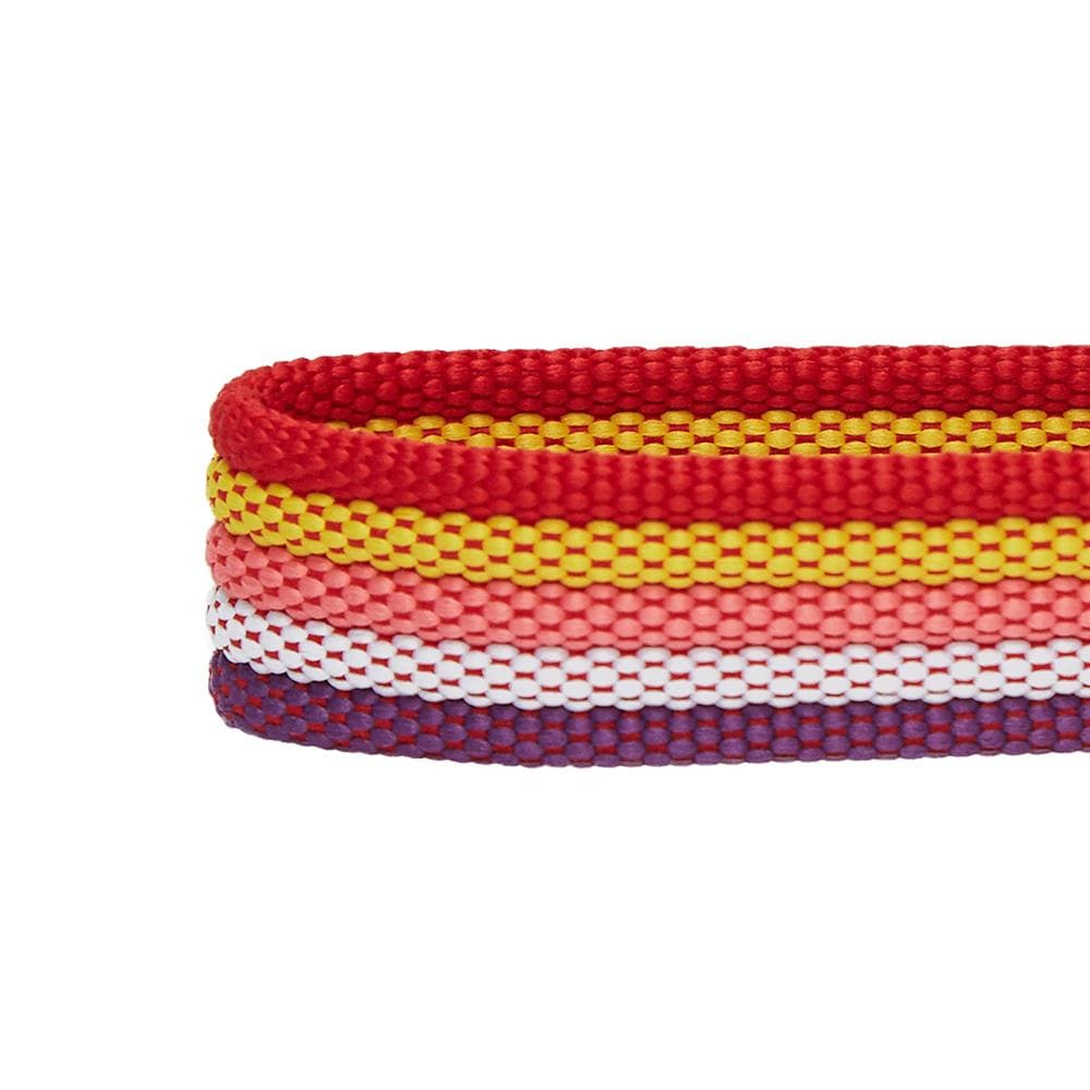 Multi-colored Stripe Dog Collar