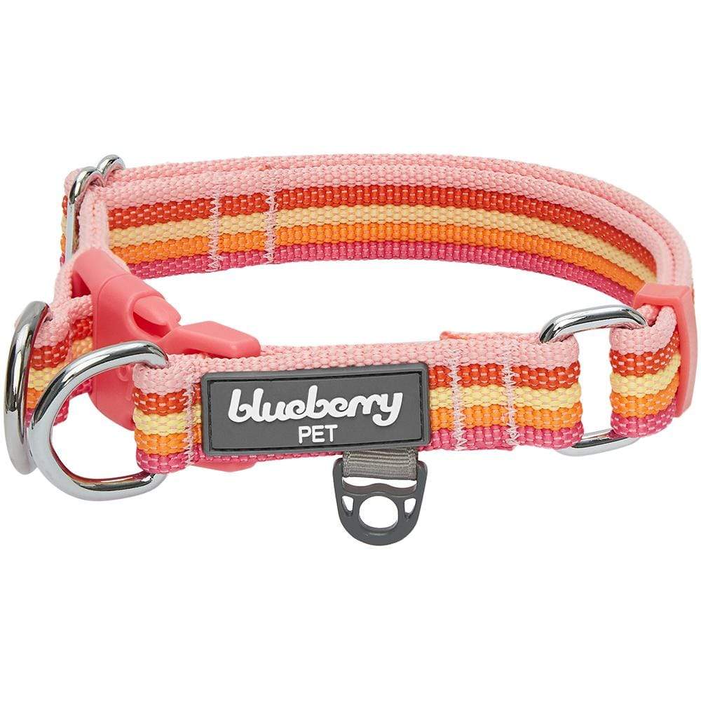 Multi-colored Stripe Dog Collar