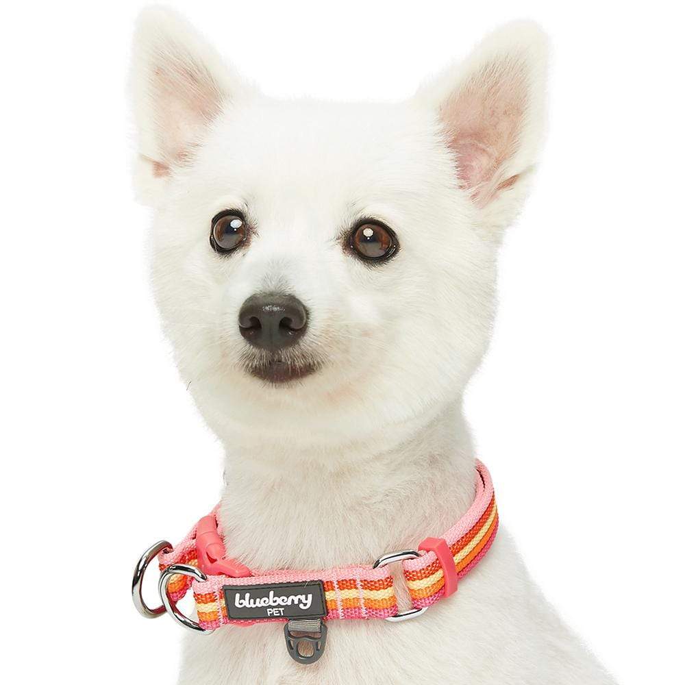 Multi-colored Stripe Dog Collar