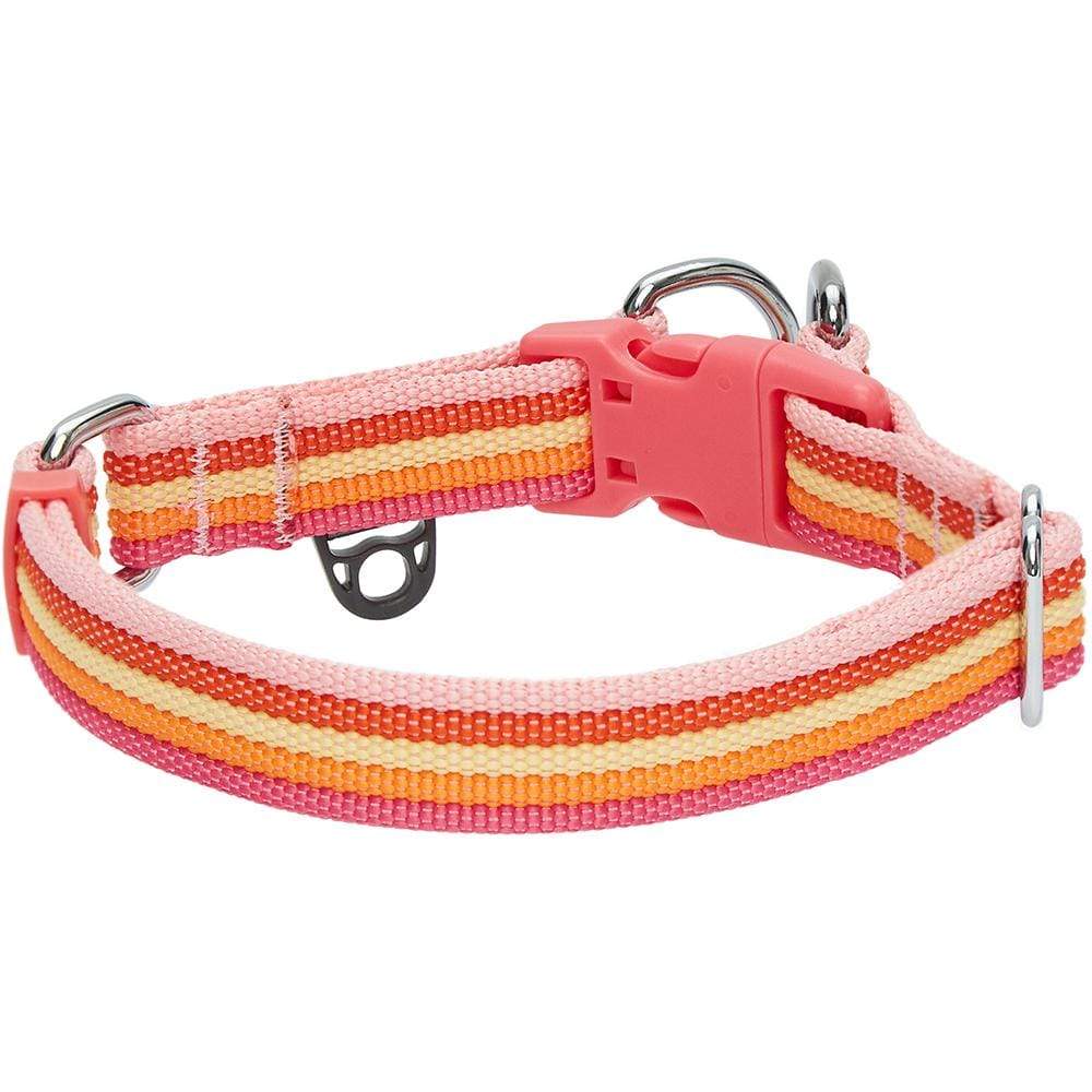 Multi-colored Stripe Dog Collar