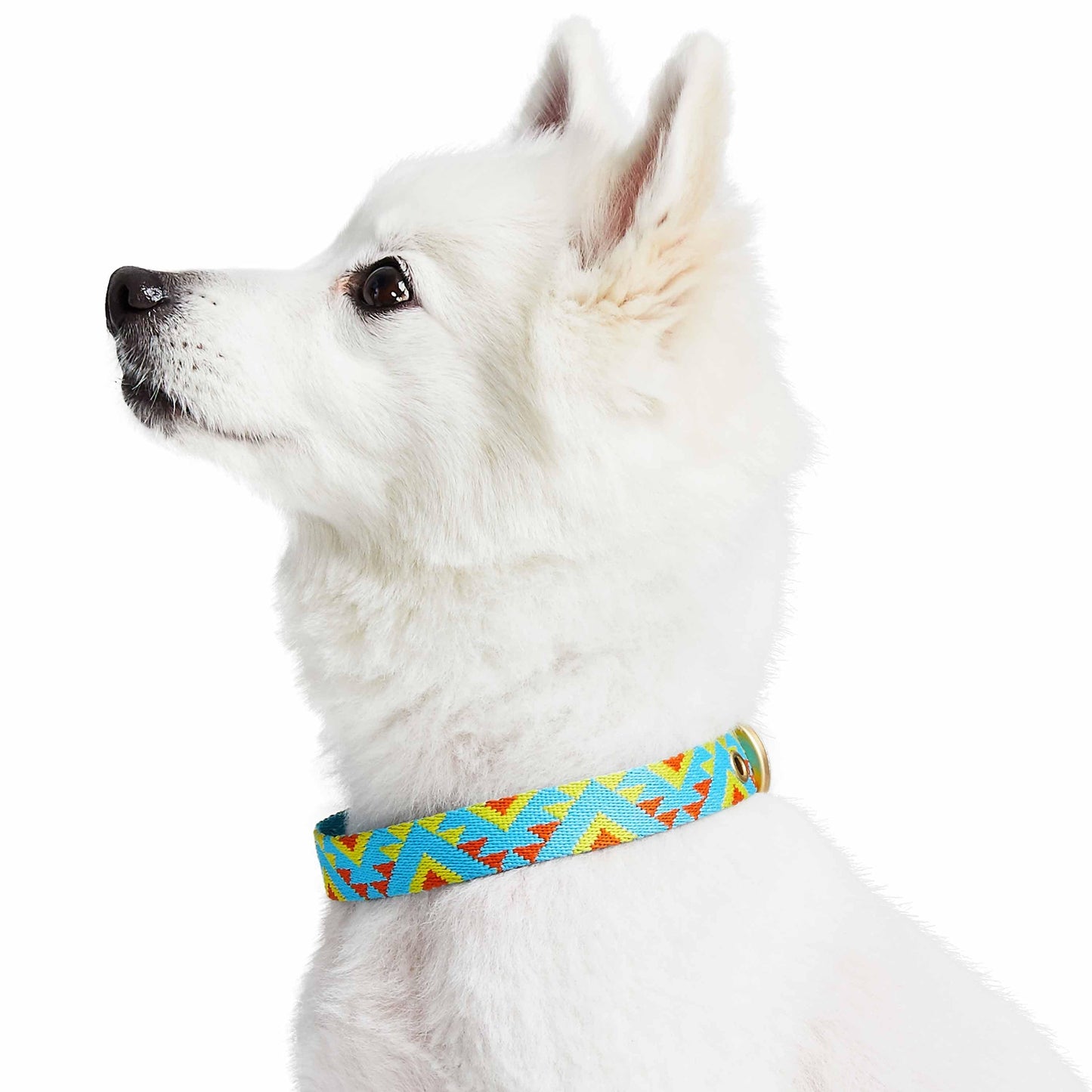 Southwestern Tribal Dog Collar