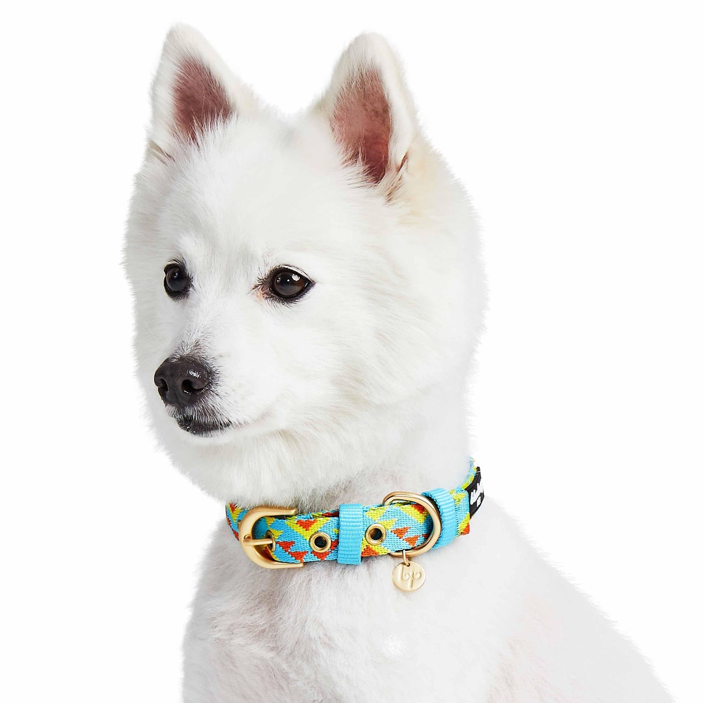 Southwestern Tribal Dog Collar