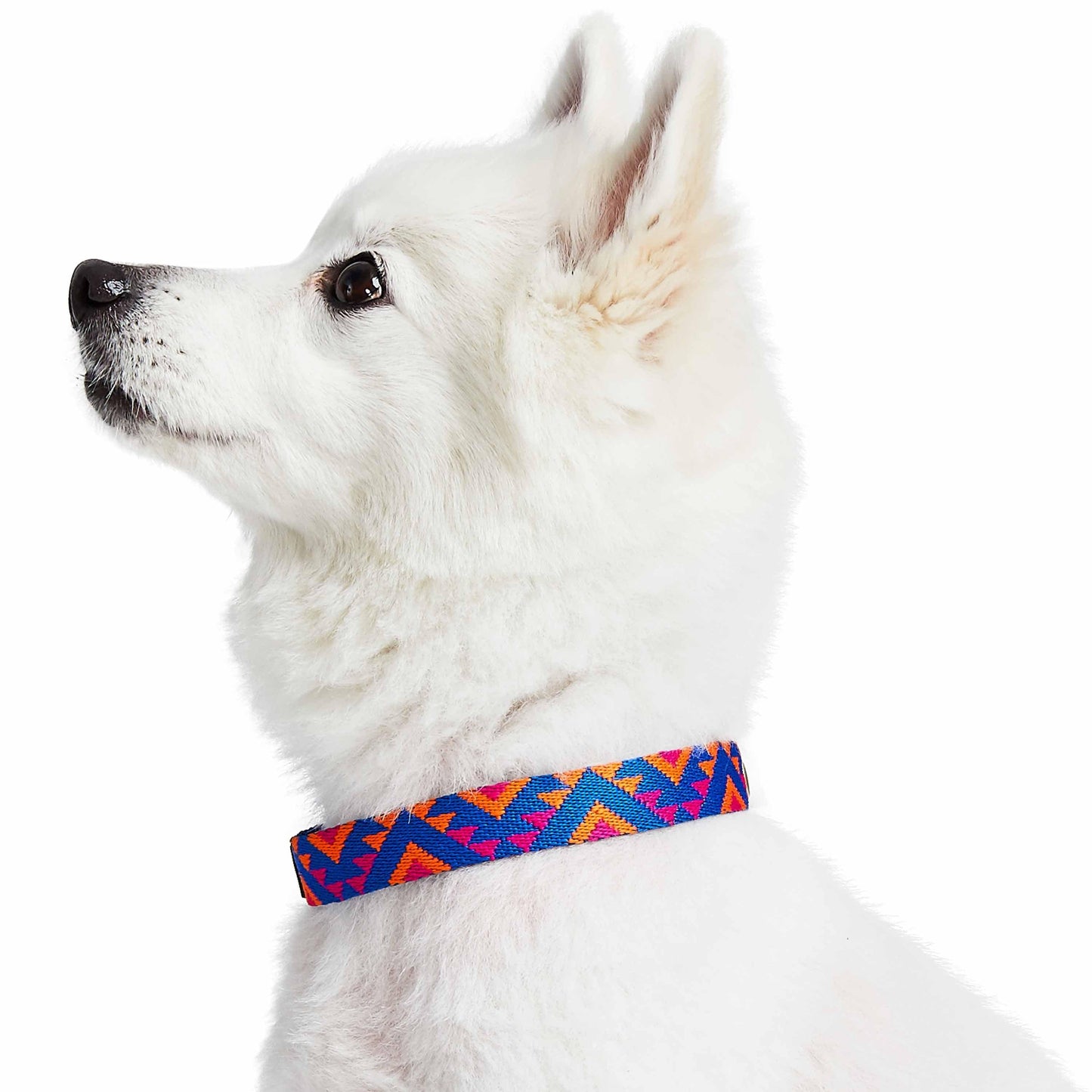 Southwestern Tribal Dog Collar