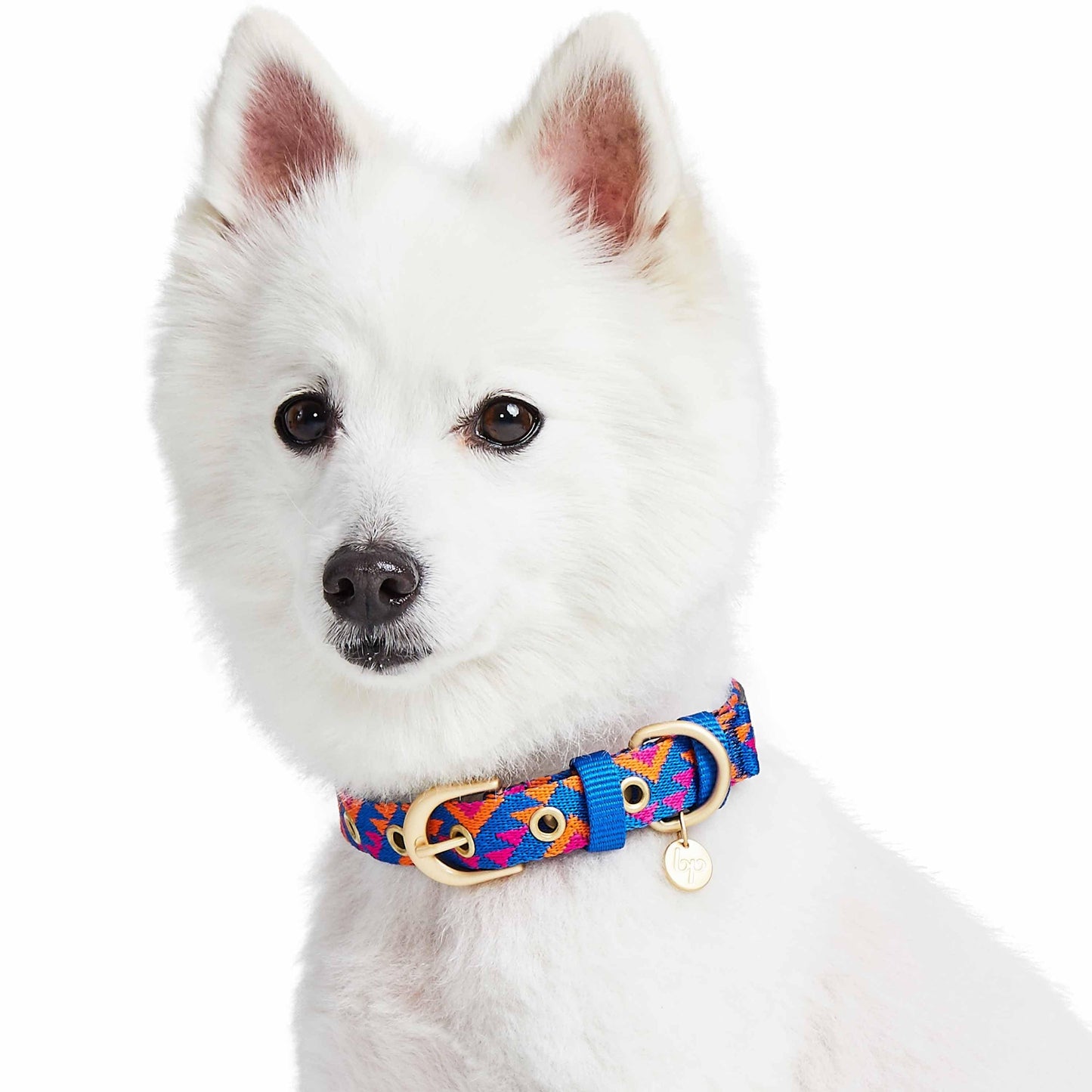 Southwestern Tribal Dog Collar
