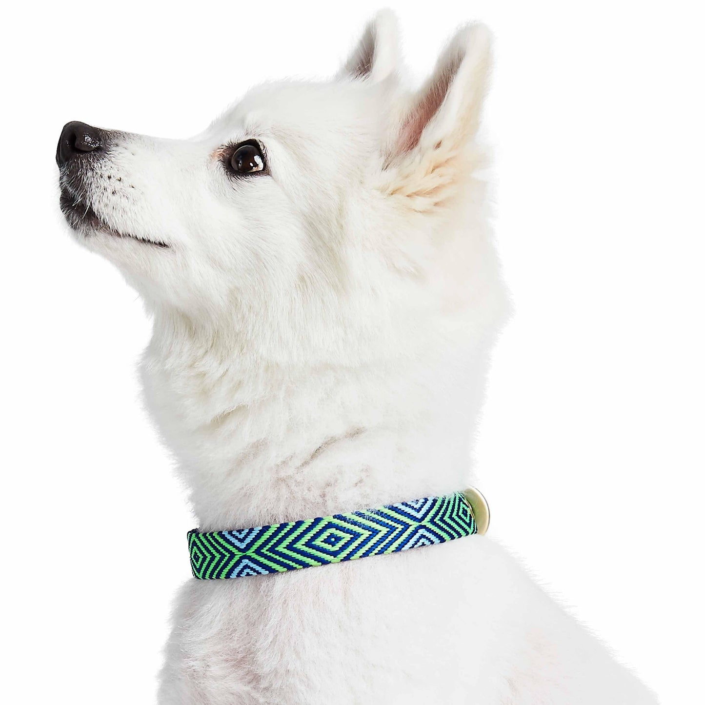 Southwestern Tribal Dog Collar