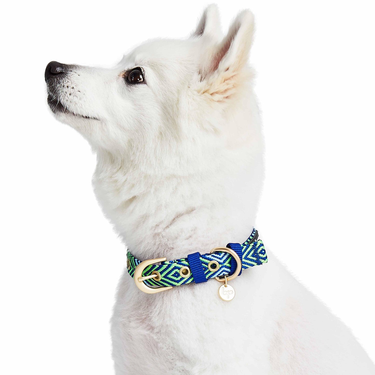 Southwestern Tribal Dog Collar