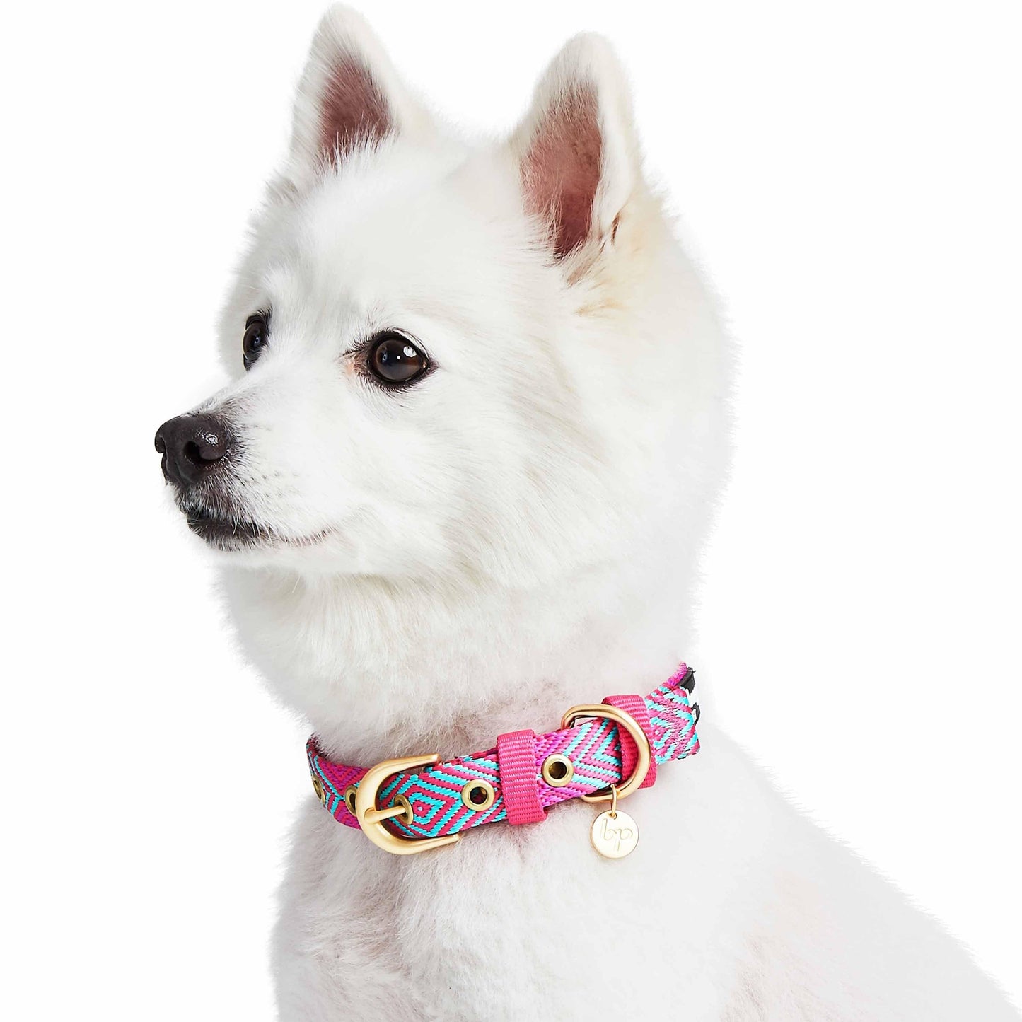 Southwestern Tribal Dog Collar