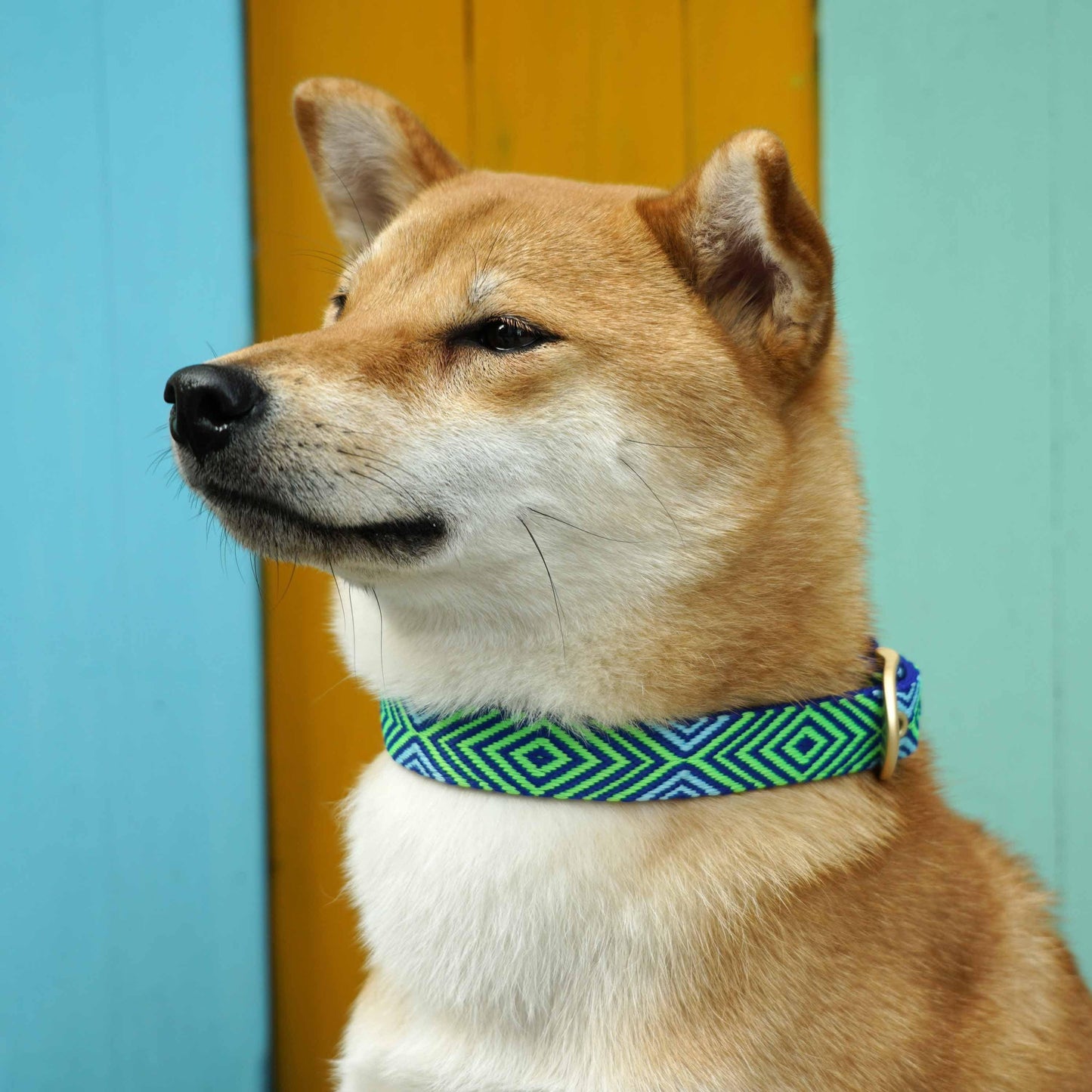Southwestern Tribal Dog Collar